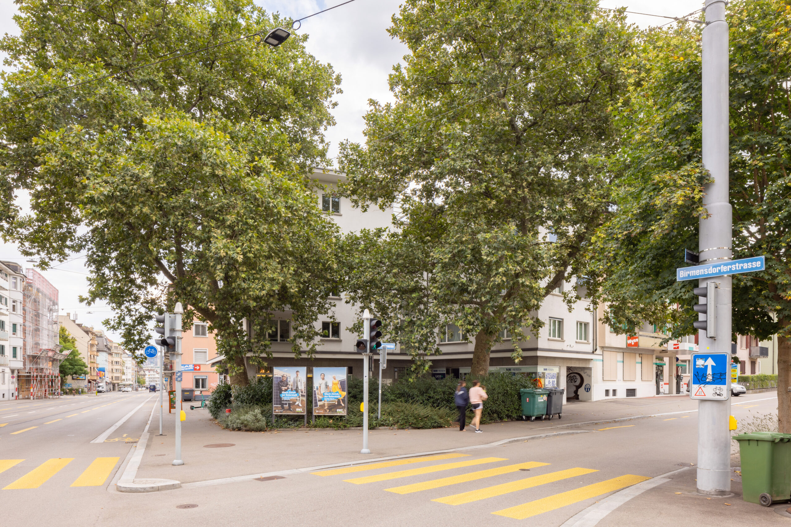 Strassenansicht Talwiesenstrasse mit zwei grossen Bäumen